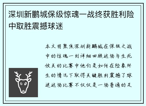 深圳新鹏城保级惊魂一战终获胜利险中取胜震撼球迷
